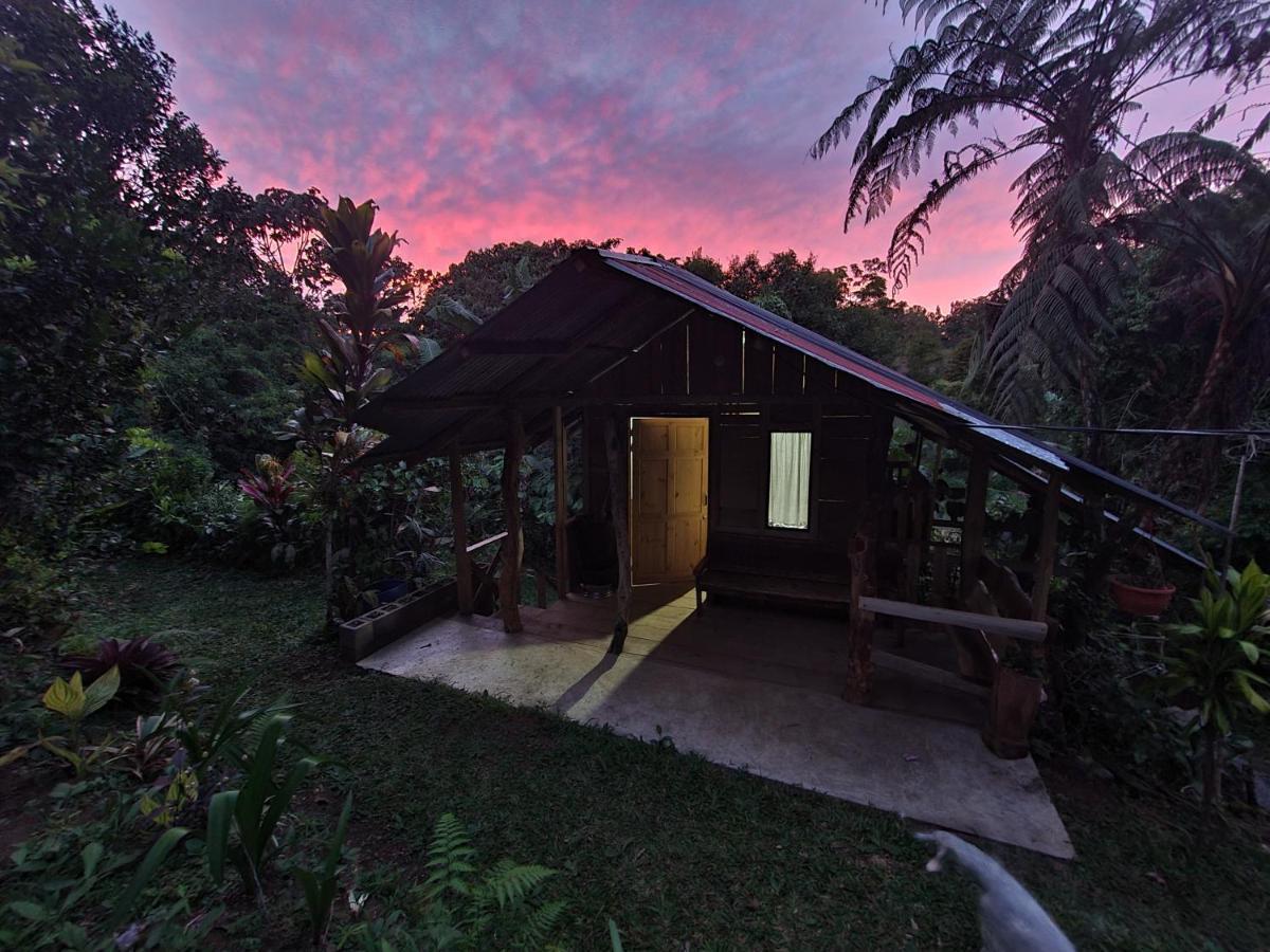 Cabana Maquique - San Vito Villa San Ramon  Dış mekan fotoğraf