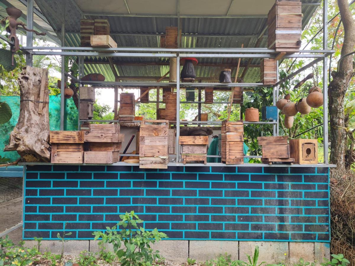 Cabana Maquique - San Vito Villa San Ramon  Dış mekan fotoğraf